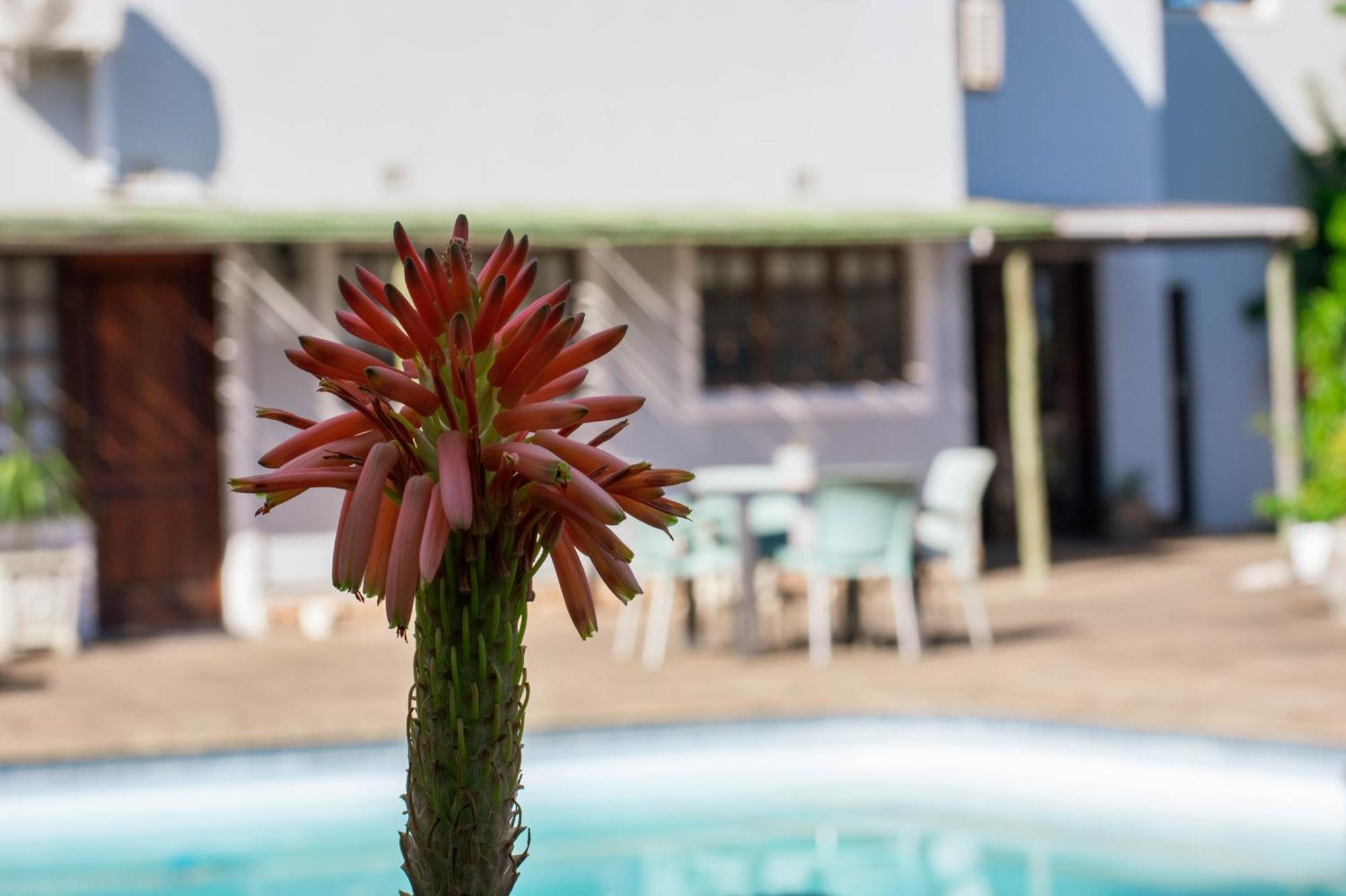 African Sands B&B Amanzimtoti Esterno foto