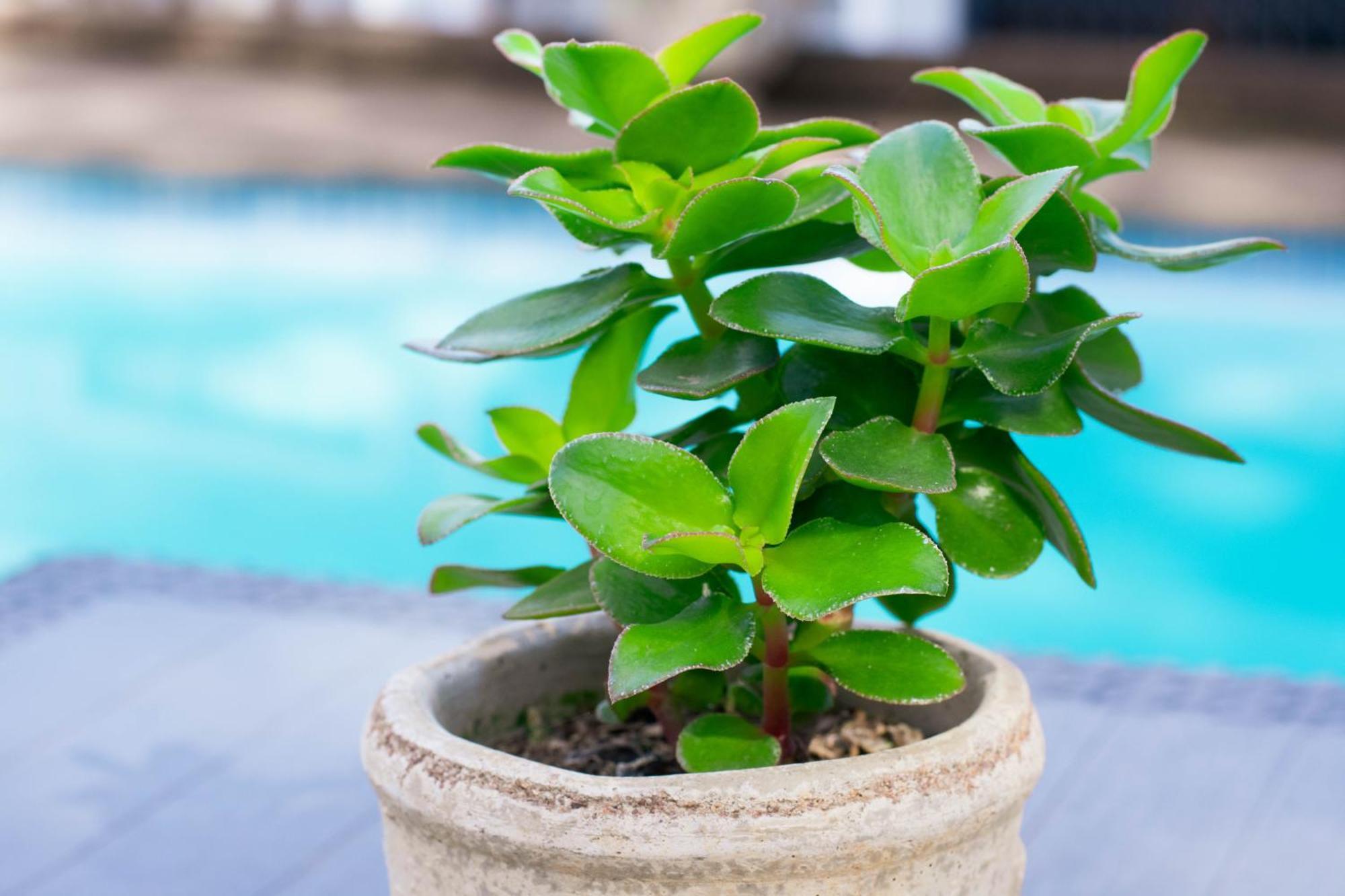 African Sands B&B Amanzimtoti Esterno foto